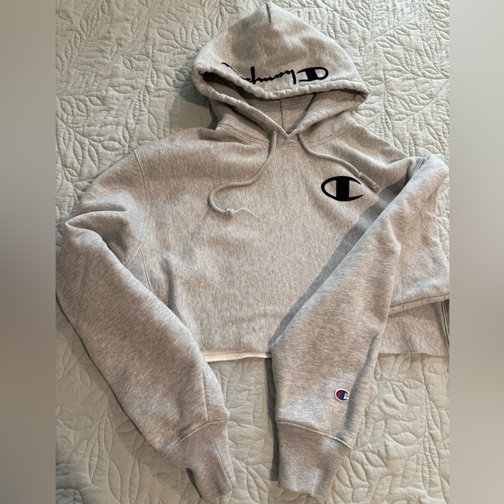 Champion Reverse Weave Large Hoodie in Gray